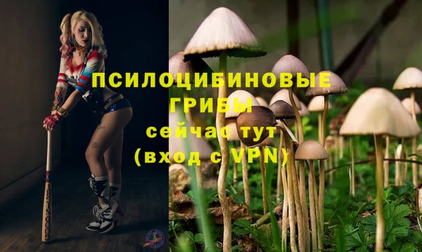 кокаин колумбия Алзамай